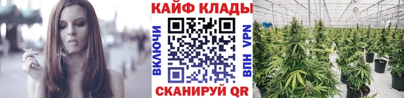 Наркотические вещества Валуйки ссылка на мегу ССЫЛКА  Бошки Шишки  Alpha PVP  Меф мяу мяу  Cocaine  Гашиш 