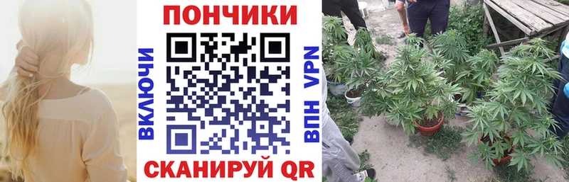 мега ссылки  Валуйки  Шишки марихуана Bruce Banner 